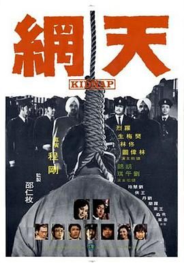 天网 天網海报剧照