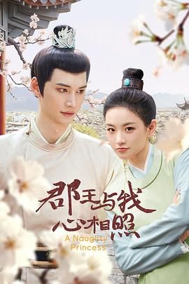 郡王与我心相照海报剧照