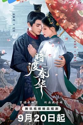 暗渡春华海报剧照
