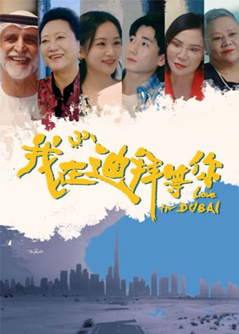 我在迪拜等你海报剧照