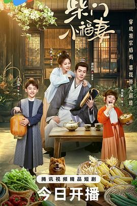 柴门小福妻海报剧照